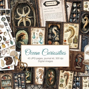 Può includere: Un collage di illustrazioni e oggetti effimeri in stile vintage a tema oceanico. L'immagine include cavallucci marini incorniciati, un polpo, una sirena e varie schede di esemplari. Il testo "Ocean Curiosities" è visualizzato su un cartello bianco.