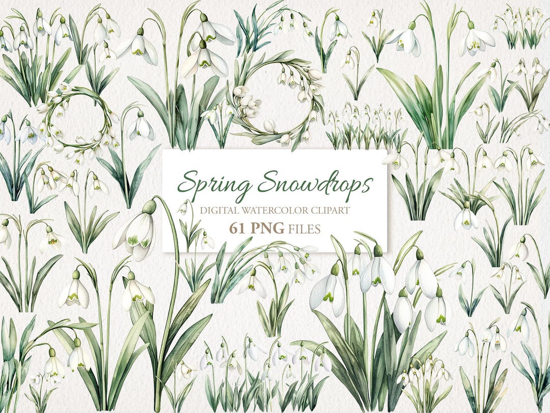 Spring Snowdrops Flowers Watercolor Clipart Bundle. Digital Download ...