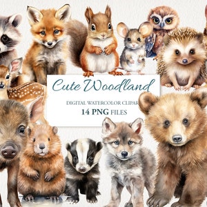Ensemble de cliparts PNG aquarelle dessin animé animaux mignons de la forêt. Chambre d'enfants Art. Illustration de l'IA. Téléchargement instantané pour une utilisation commerciale.