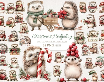 Weihnachtsigel. Winter Aquarell Clipart Bundle. Digitaler Download. Kommerzielle Nutzung. 38 PNG