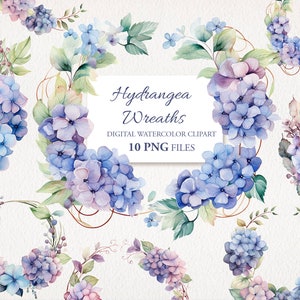 Hortensien Kränze Aquarell Clipart PNG Bundle. Vintage Pastell Hortensienblüten.  KI Illustration. Sofort Download für kommerzielle Nutzung.