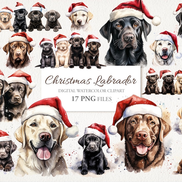 Christmas Labrador Dog Santa Hat Watercolor Clipart PNG Bundle. Black Brown White. AI Illustration. Instant Download Commercial Use. 17 PACK