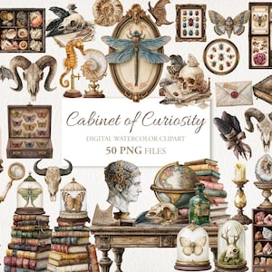 Gabinete de Curiosidades, Curiosidad Victoriana, Academia Oscura, Magia, Acuarela, Imágenes prediseñadas. Uso comercial. 50 PNG