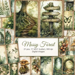 May include: A collection of watercolour digital images with a mossy forest theme. The images feature scenes of nature, including trees, mushrooms, and a signpost. The text on the image reads "Mossy Forest, 21 pcs, 27.9cm x 21.6cm (Letter), 300 dpi, Digital images."