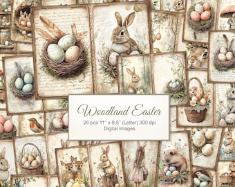 May include: A digital collage of 26 images featuring woodland creatures, nests, eggs, and baskets. The images are in a vintage style with a rustic, earthy color palette. The text "Woodland Easter" is displayed in the center of the collage.