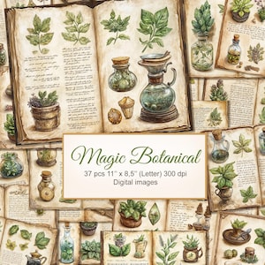 Botanische planten Kruiden Vintage grafieken Junk Journal. Afdrukbare pagina's magische hekserij. Boek der schaduwen, Grimoire. Digitale download. VERPAKKING VAN 37