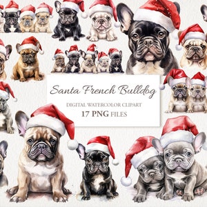 Pacchetto di clipart PNG ad acquerello con cane Bulldog francese di Natale e cappello da Babbo Natale. Illustrazione AI. Download immediato. Uso commerciale. PACCHETTO DA 17