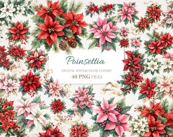 Christmas Poinsettia Red Pink White Flower Clipart PNG Bundle. Design Elements. AI Illustration. Commercial Use. Sublimation, Cards. 40 PNG