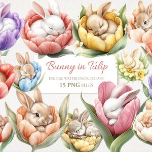 Niedlicher Osterhase in Tulpenblüte. KI Illustration. Kommerzielle Nutzung. Sammelalbum Junk Journal Karten. 15 PNG