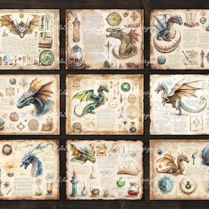 May include: Set of 9 vintage-style illustrations featuring dragons and magical elements. Each illustration is framed with a parchment-like border and includes intricate details like potions, scrolls, and glowing orbs.