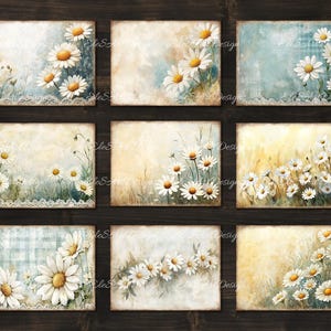 May include: Nine digital collage sheets featuring watercolour illustrations of white daisies on a variety of backgrounds, including blue and white gingham, cream, and light blue.