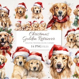Weihnachten Golden Retriever Hund Weihnachtsmütze Aquarell Clipart PNG Bundle. KI Illustration. Sofort Download Kommerzielle Nutzung. 14ER PACK