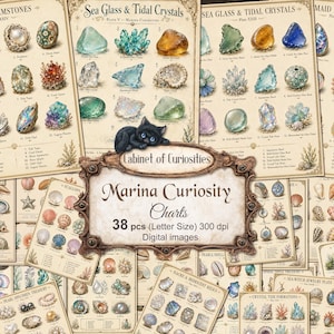 May include: A collection of vintage-style educational charts featuring illustrations of sea glass, crystals, pearls, and seashells. The central decorative plaque displays the text Cabinet of Curiosities, Marina Curiosity Charts, 38 pcs (Letter Size) 300 dpi.