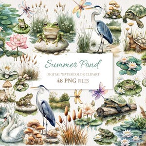Op de afbeelding: Digitale aquarel clipartset getiteld "Summer Pond" met kikkers, schildpadden, libellen, reigers en waterlelies. Het kunstwerk bevat een zwaan, paddenstoelen en diverse vijverelementen. De afbeelding heeft een zacht, natuurlijk kleurenpalet.