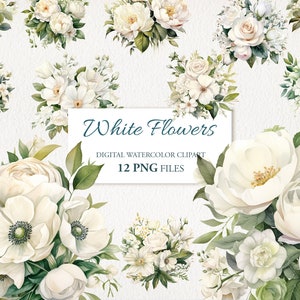 Weiße Blumen. Rose Pfingstrose Aquarell Clipart PNG Bundle. Vintage Shabby-Chic. KI Illustration. Sofort Download für kommerzielle Nutzung