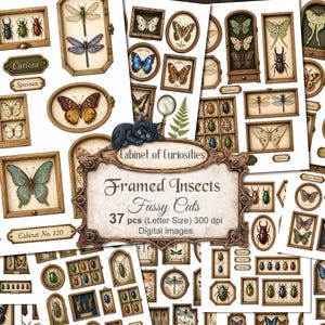 Puede incluir: Una colección de imágenes digitales con varios insectos, mariposas y libélulas en marcos ornamentados. La etiqueta central dice Cabinet of Curiosities, Framed Insects, Fussy Cuts, 37 pcs (Letter Size) 300 dpi Digital images.