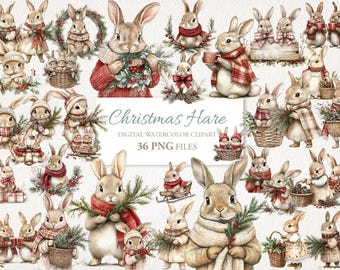 Christmas Hare Rabbit. Winter Watercolor Clipart Bundle. Digital Download. Commercial Use. 36 PNG