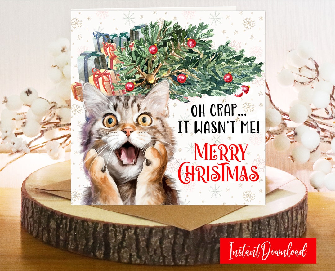 Funny Christmas Card Cat Christmas Card Holiday Greeting Card Whimsical ...