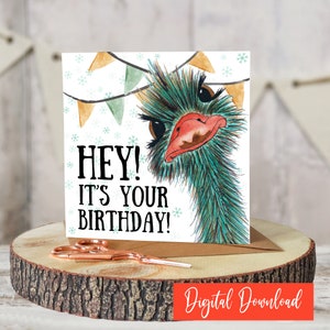 Lustige Emu Geburtstagskarte, druckbare Strauß Feier Karte, humorvolle Vogel Karte, Glückwunschkarte für ihn, sie, Tierliebhaber Party Karte