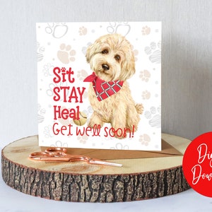 Muitas felicidades no seu cartão de recuperação/Fique bem logo/Pensando em você/Cartão digital Sinta-se melhor para amante de cães/Nota de cuidado com os animais/Sinta-se melhor