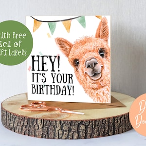 Cartão de aniversário de lhama, cartão de felicitações de alpaca para impressão, cartão de animal humorístico, cartão de parabéns para ele para ela, cartão de festa engraçado em aquarela