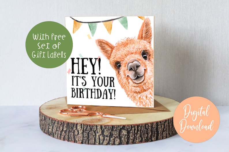 Llama Birthday Card, Printable Alpaca Greeting Card, Humorous Animal ...