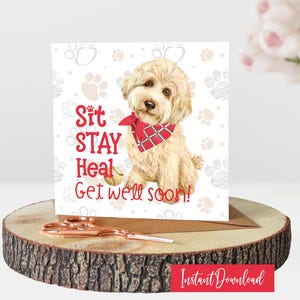 May include: A greeting card with a watercolor illustration of a light brown dog wearing a red bandana. The card has the words "Sit, Stay, Heal, Get well soon!" in red. The card is on a wooden slice with a pair of rose gold scissors.