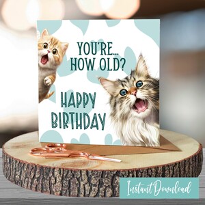 Tarjeta de cumpleaños divertida para gato, regalo de la loca gata de mamá gata, tarjeta divertida, regalo de feliz cumpleaños para mejor amiga, tarjeta de gato para papá gato, tarjeta de cumpleaños para hermana