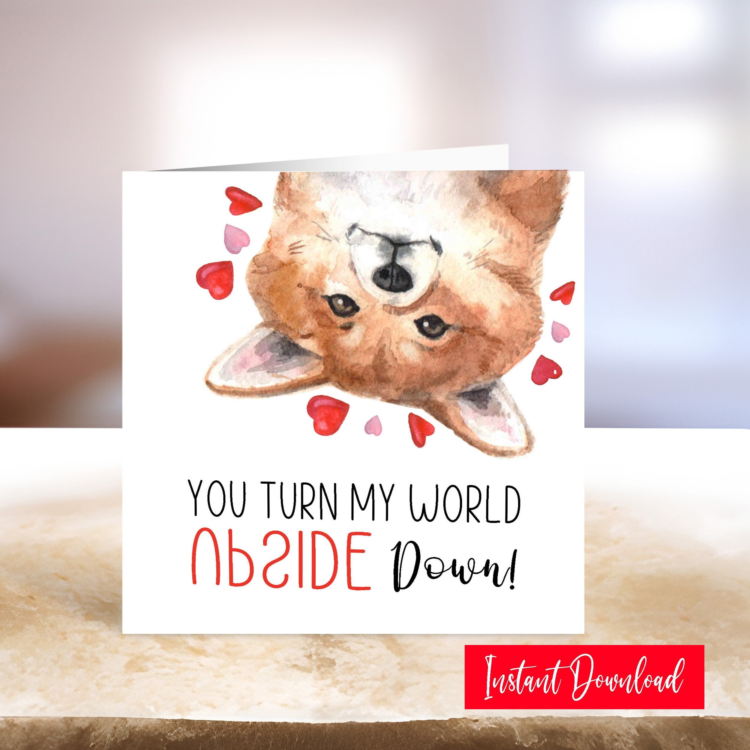 Cute Dog Anniversary Card - Sheepadoodle & Dachshund Design With Stickers For Couples