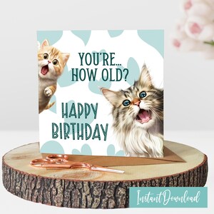 Funny Cat Birthday Card Cat Mom Birthday Card Happy Birthday Card Cat Lover Gifts From the Cat themed Gifts Best Friend Gift Funny Card Dad