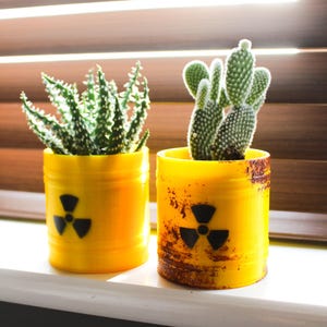 Może przedstawiać: Dwa małe kaktusy w donicach w żółtych pojemnikach z czarnym symbolem promieniowania. Jedna donica ma zardzewiały wygląd. Rośliny stoją na białym parapecie przed brązowymi żaluzjami.