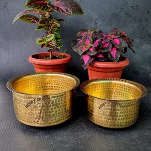 May include: Two hammered brass planters with the text "HONEY CRAFTS" and a stylized "H" logo. The planters are gold-coloured and have a textured surface. Two potted plants with green, pink, and purple leaves are in the background.