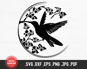 Hummingbird SVG, bird in flowers branch png clipart design vector, svg files for cricut, sublimation print laser cut