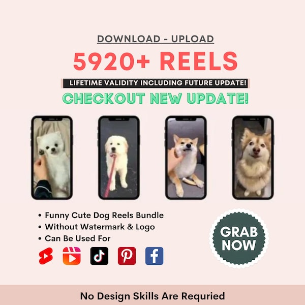 Mega Funny Animal Dog Reel Bundle Instagram Reels Templates, YouTube Shorts, Animal Theme Page, Tiktok Videos , Viral Reels, Dog Lovers