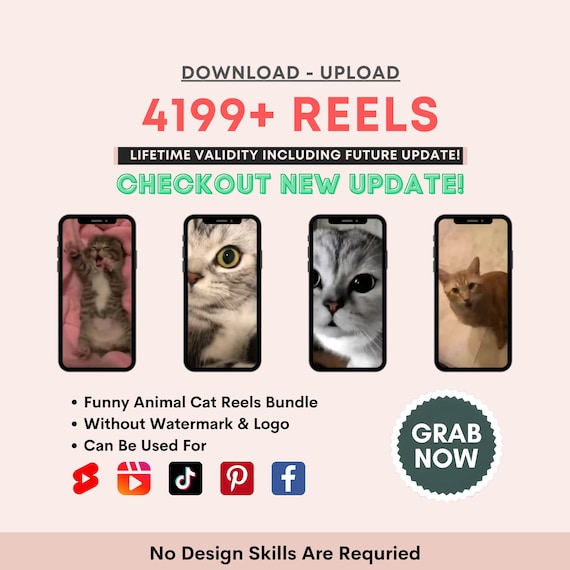 Mega Funny Animal Cat Reel Bundle Instagram Reels Templates,   Shorts, Animal Theme Page, Tiktok Videos , Viral Reels, Kitty Lovers 