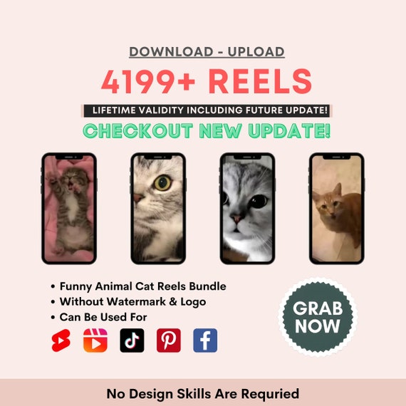 Mega Funny Animal Cat Reel Bundle Instagram Reels Templates,   Shorts, Animal Theme Page, Tiktok Videos , Viral Reels, Kitty Lovers 