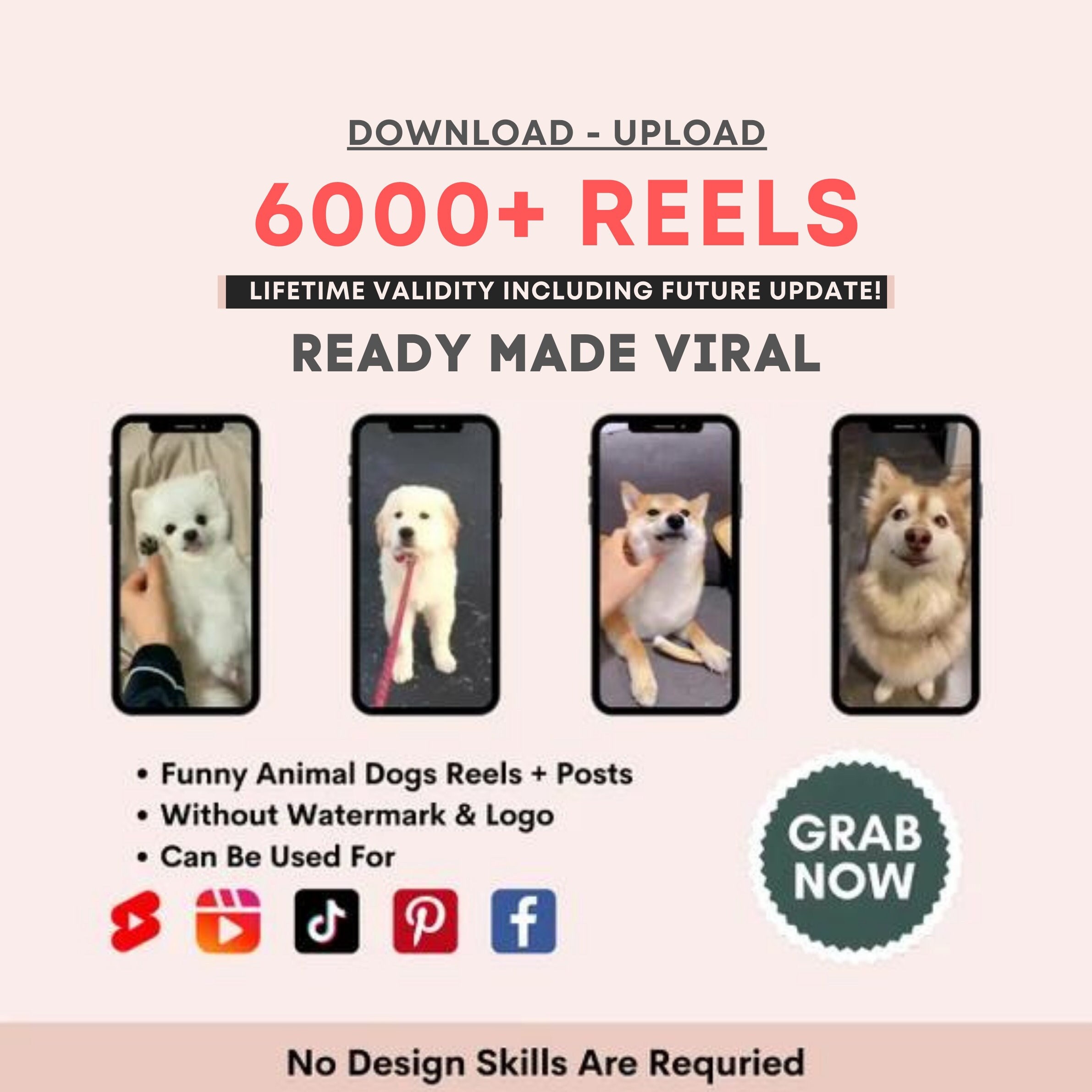 Buy Mega Funny Animal Dog Reel Bundle Instagram Reels Templates Online