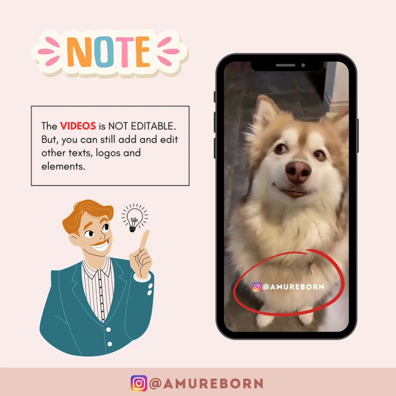 Mega Funny Animal Dog Reel Bundle Instagram Reels Templates Etsy