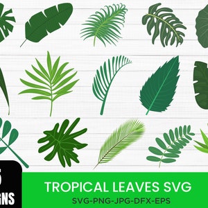 Tropical Leaves Svg Bundle, Tropical Leaf Svg, Palm Leaves Svg, leaf SVG clipart, commercial use svg, jungle leaves clipart, Tropical png