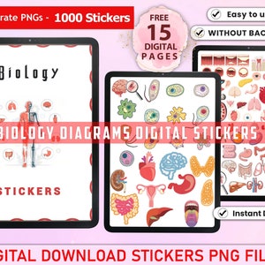 Biology & Anatomy Digital Stickers, Biology Stickers for Goodnotes, Pre-cropped Human Body Stickers, Digital Anatomy Stickers PNG files