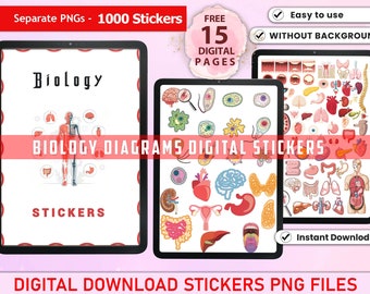 Biology & Anatomy Stickers Bundle, Biology Stickers for Goodnotes, Pre ...