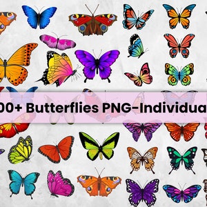100 Butterflies PNG, 100 Butterflies Illustration Bundle, Butterflies Clipart, 100 Png files with Transparent Background, Butterfly Clipart