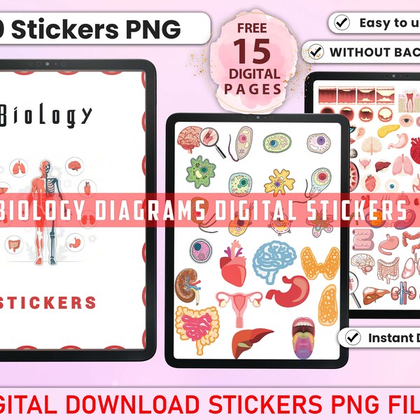 Goodnotes Anatomy Stickers Etsy