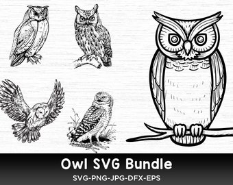Owl SVG Bundle, Owl SVG, Birds SVG bundle, Owl Silhouette Svg, Owl Vector, Files For Cricut, Owl Svg File, Owl Clipart, Owl Outline, Png