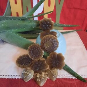 Könnte beinhalten: Eine Sammlung von neun braunen und beigefarbenen Seifenstücken mit verschiedenen Blumenmustern. Die Seifen sind auf einer blauen und weißen Schüssel und einer weißen Oberfläche angeordnet. Die Seifen sind von grünen Aloe-Vera-Pflanzen umgeben.