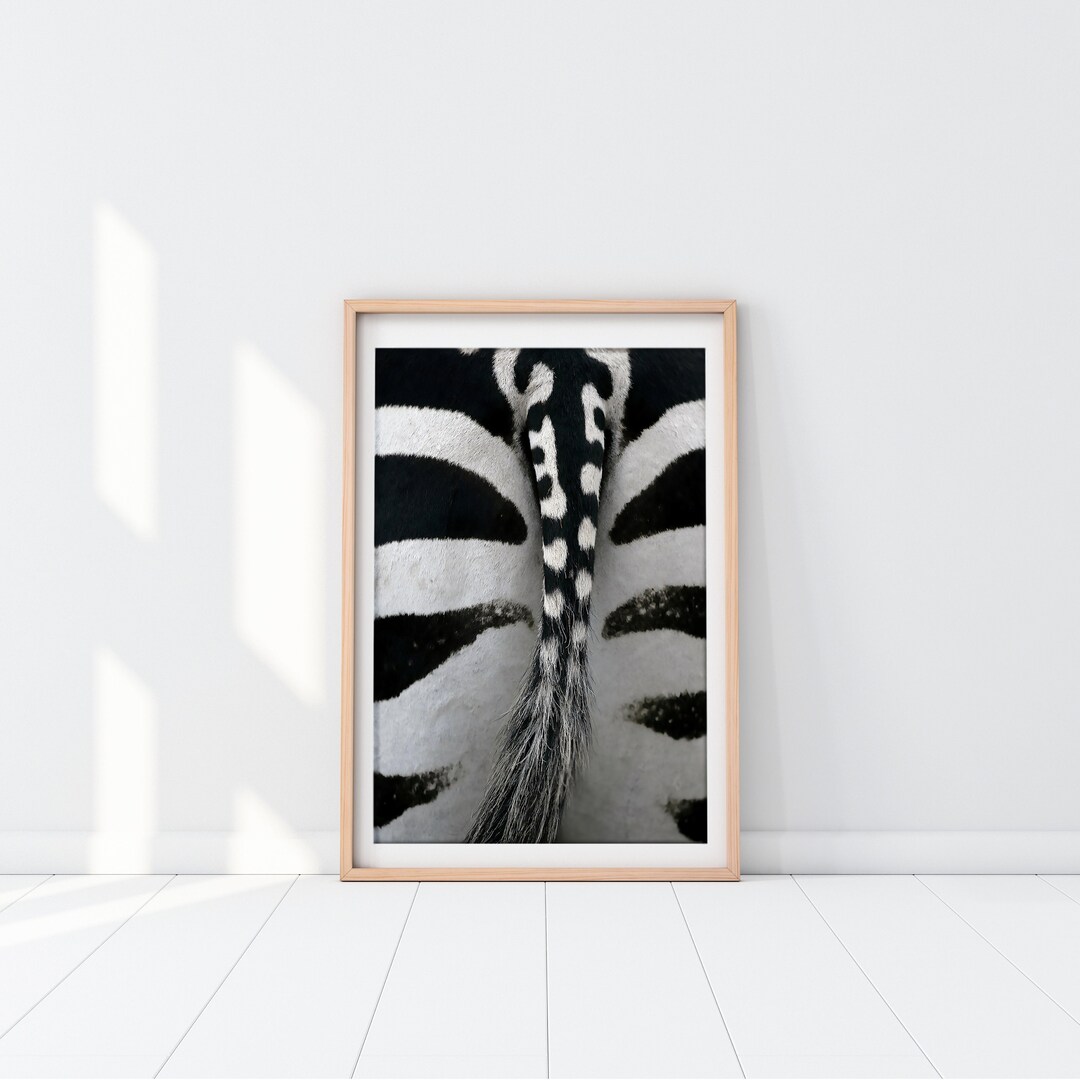 Zebra Animal Wall Prints Digital Download Bohemian Wall Decor Animal