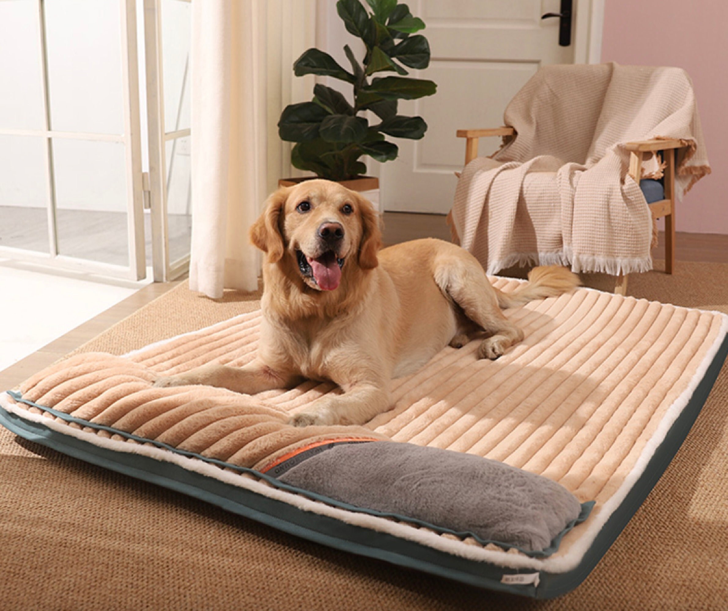 modern dog beds for large dogs