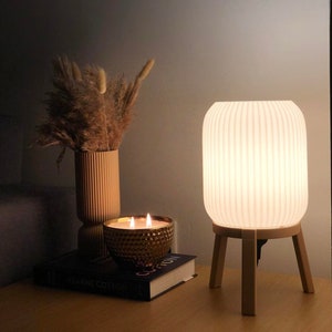 Modern Table Lamp - Bedside Lamp - Home Decor - Desk Decor - Apollo