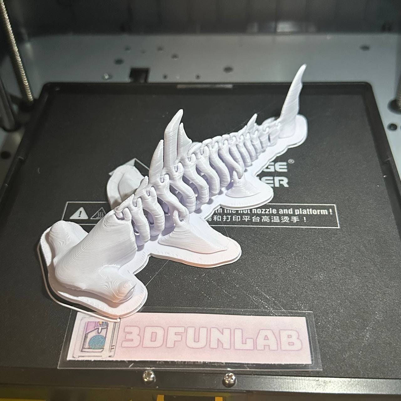 Hammerhead Shark Bones, Print in Place, 3d Digital Stl File, Action
