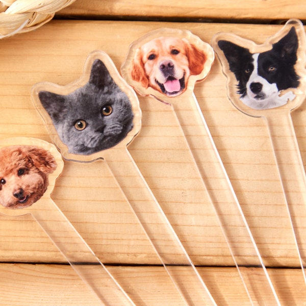 Dog Drink Stirrers Etsy